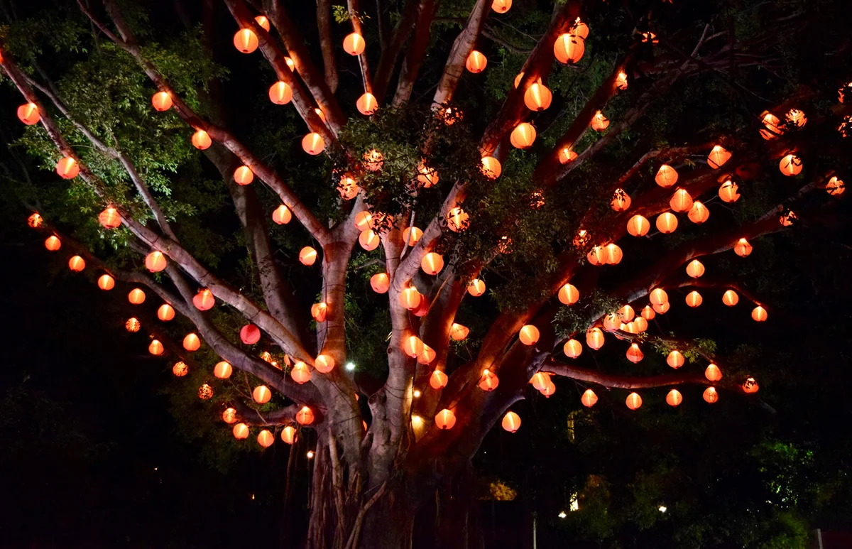Illuminated Lanterns On Tree At Night