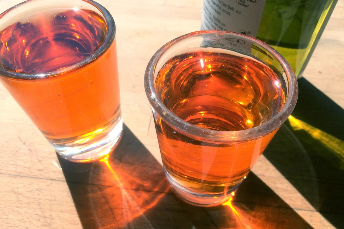 Apple Orchard Shot
