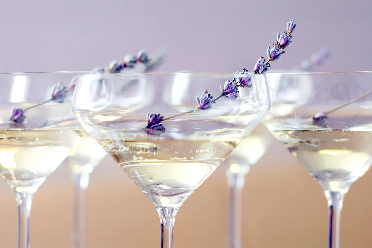 Jelly shots of champagne decorated with lavender