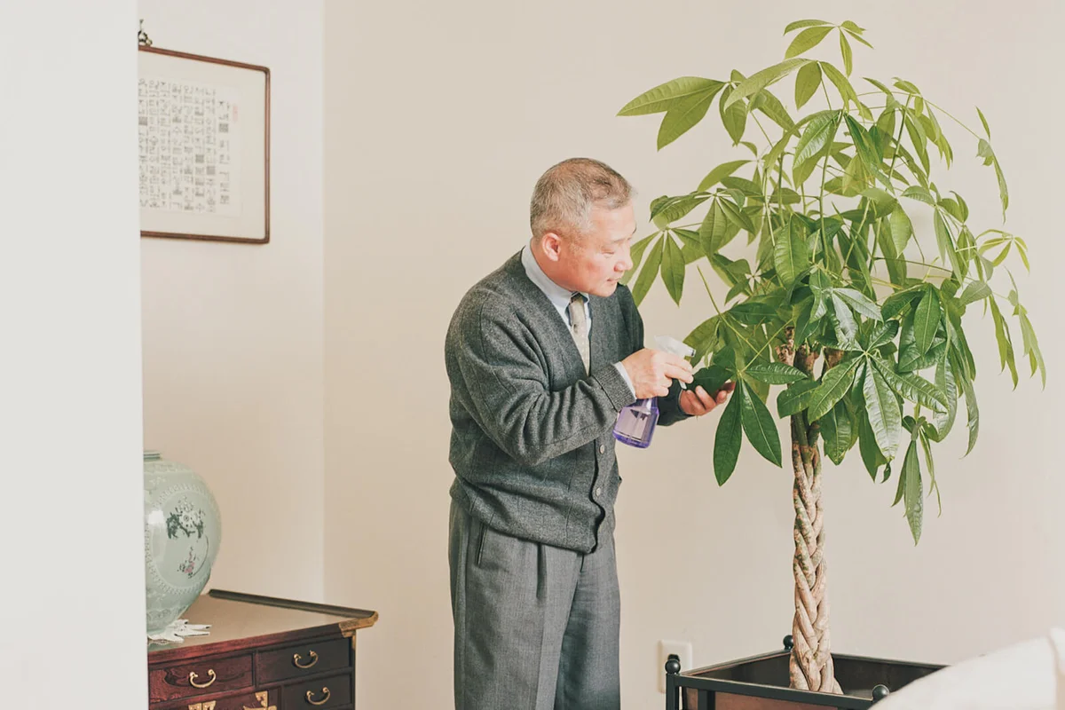 Mature man spraying money tree