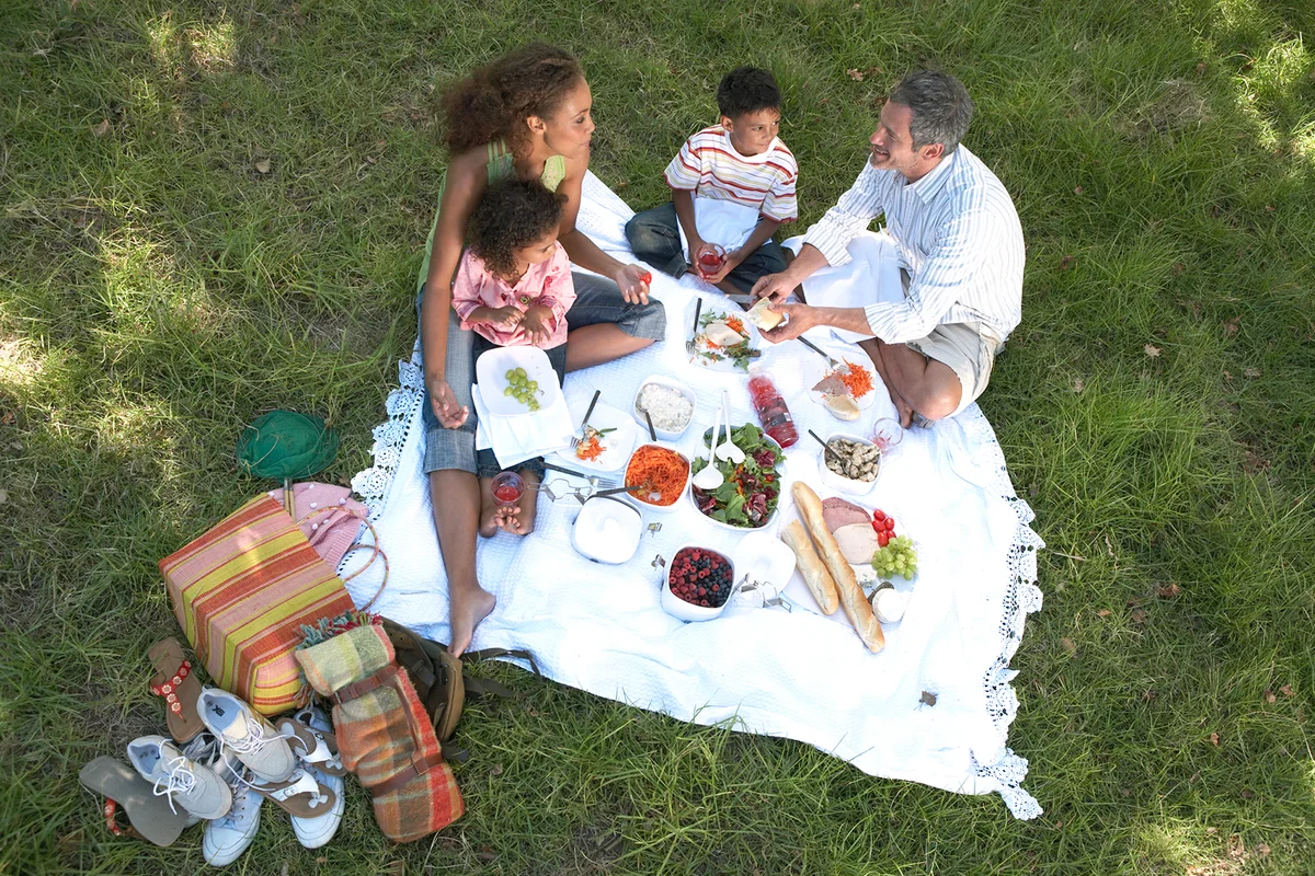 Family Having a Picnic