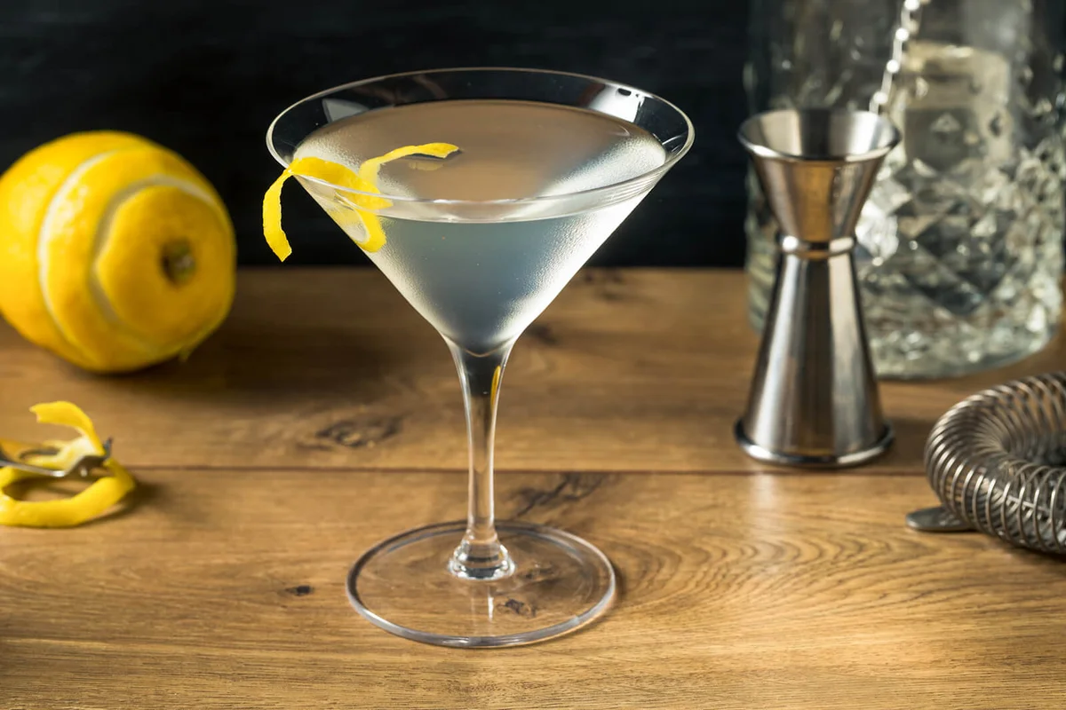 boozy Refreshing Gin Martini