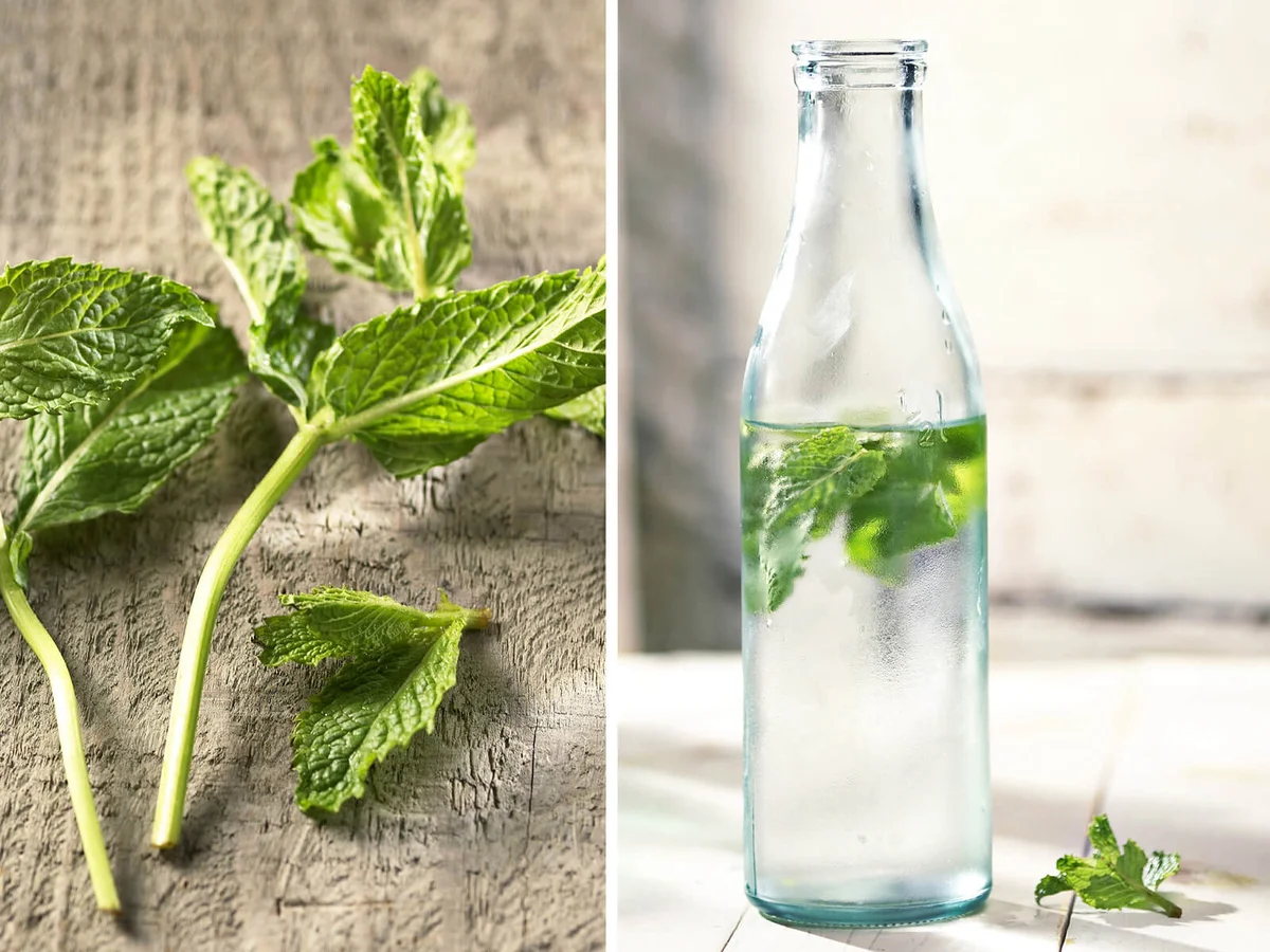 Fresh Mint Water