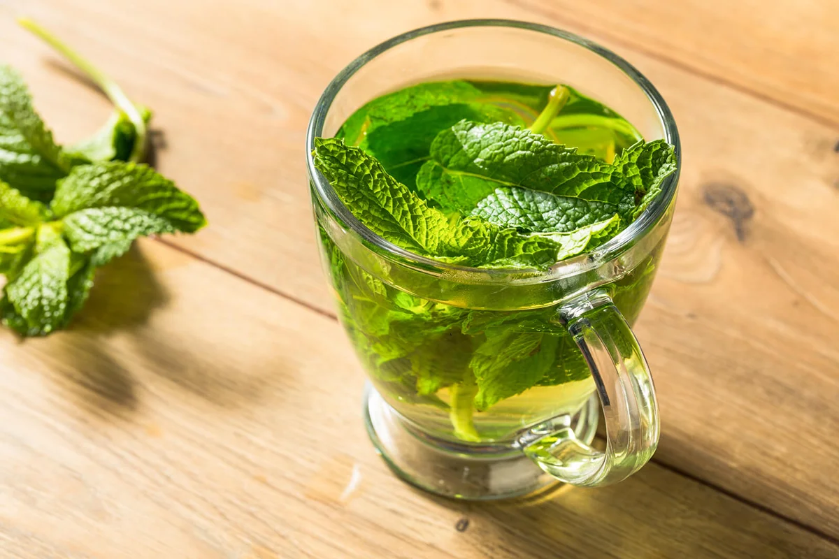 Homemade Hot Fresh Mint Tea in a Mug