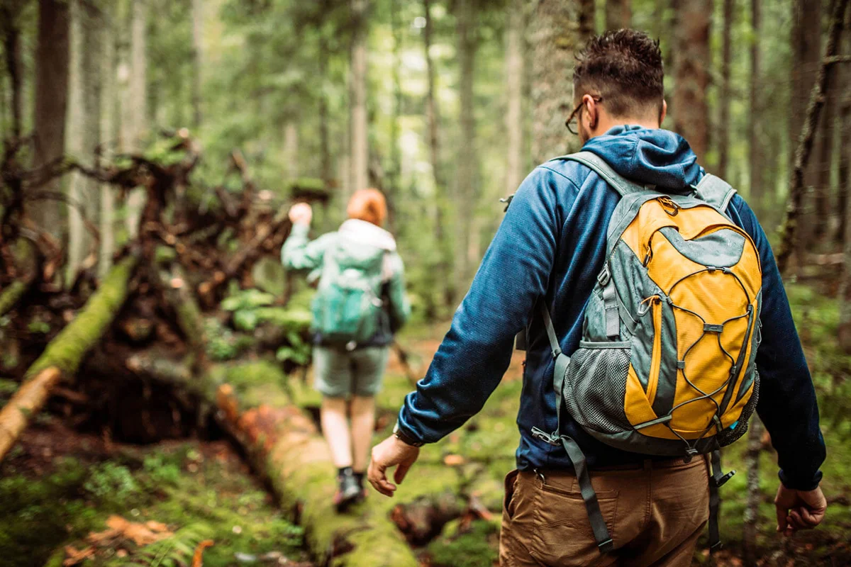 Forest walk and camping adventures