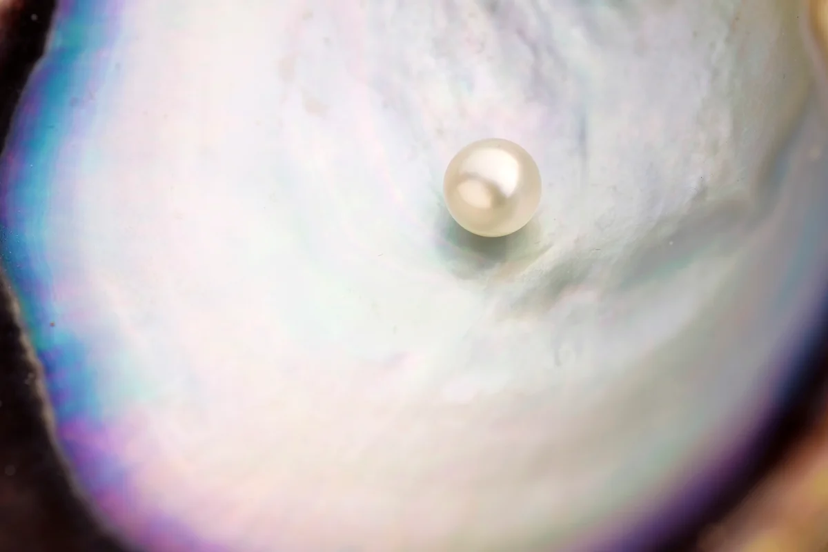 Pearl inside oyster