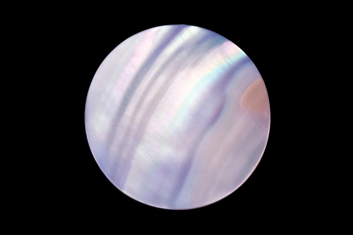 Mother of Pearl Shell Circle Slice