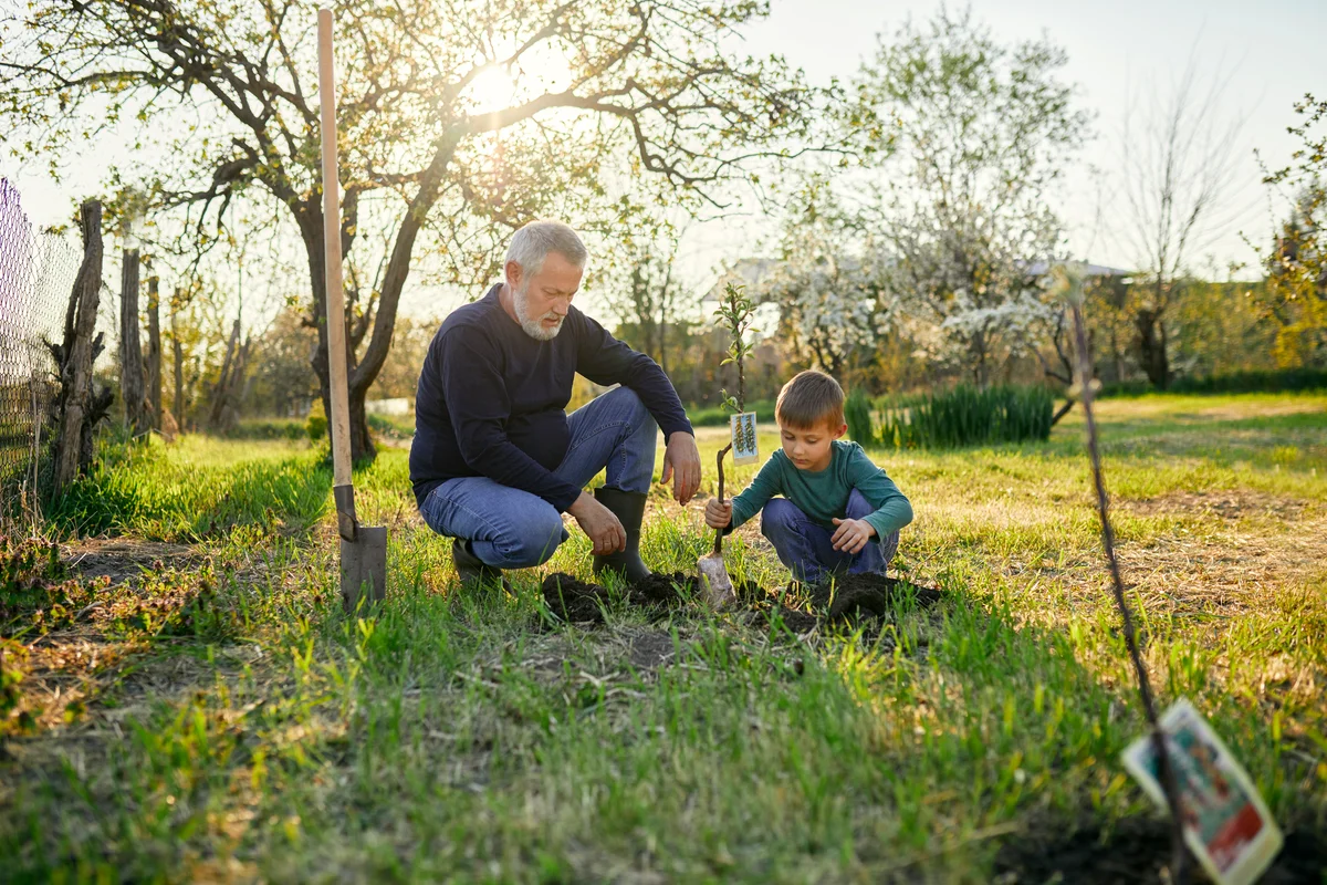 Grandfather looking at grandson planting tree