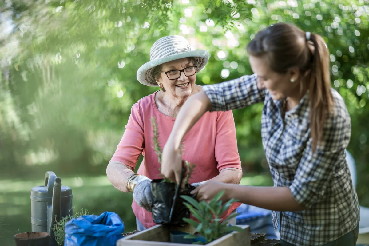 Senior woman and teenage girl gardening together
