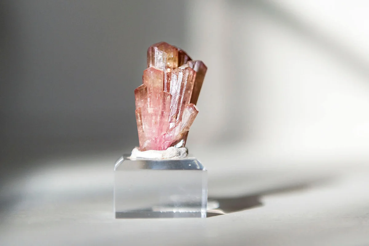 Liddicoatite Tourmaline from Luc Yen, Vietnam