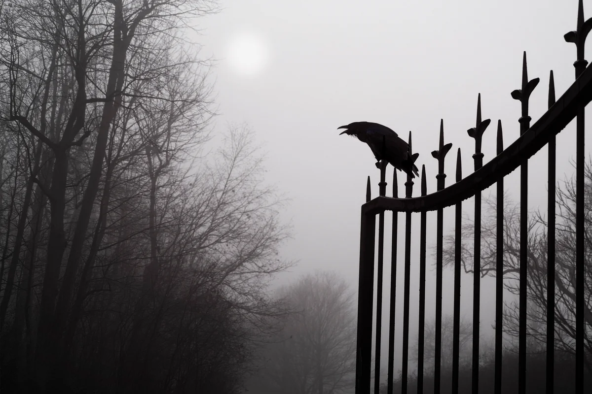 A raven sits atop a wrought iron fence cackling at the moon at the entrance of a foggy cemetery