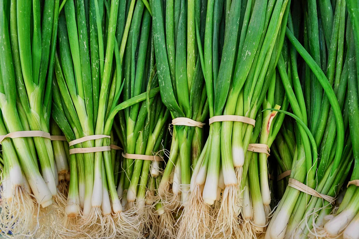 Green Onions