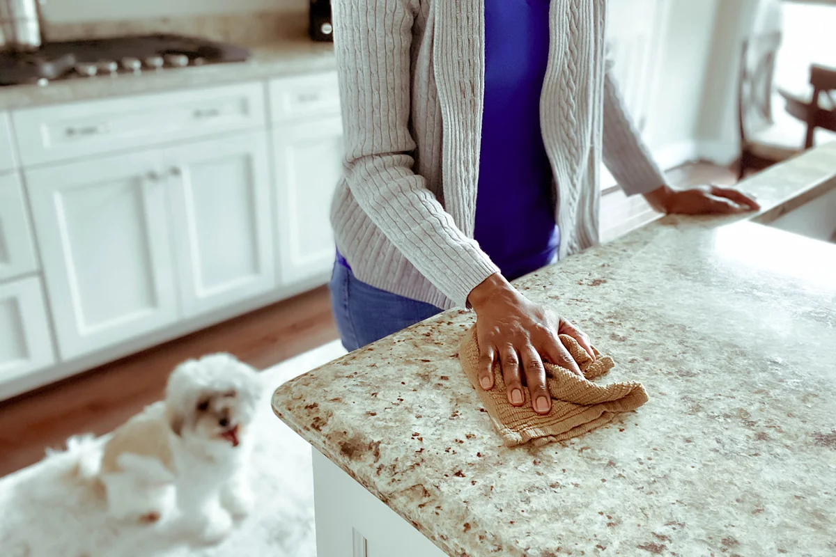 Woman Wipes Kitchen Counter