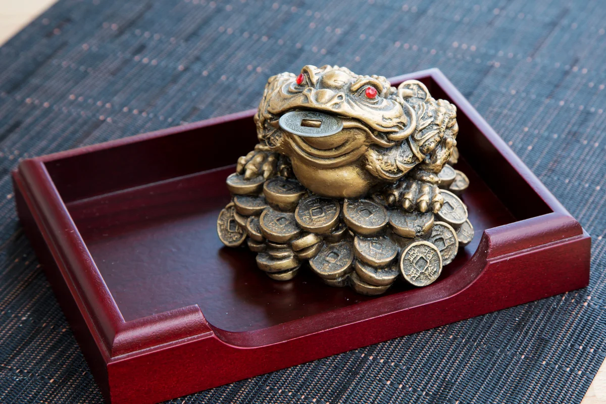Money frog with the coin on the wooden table