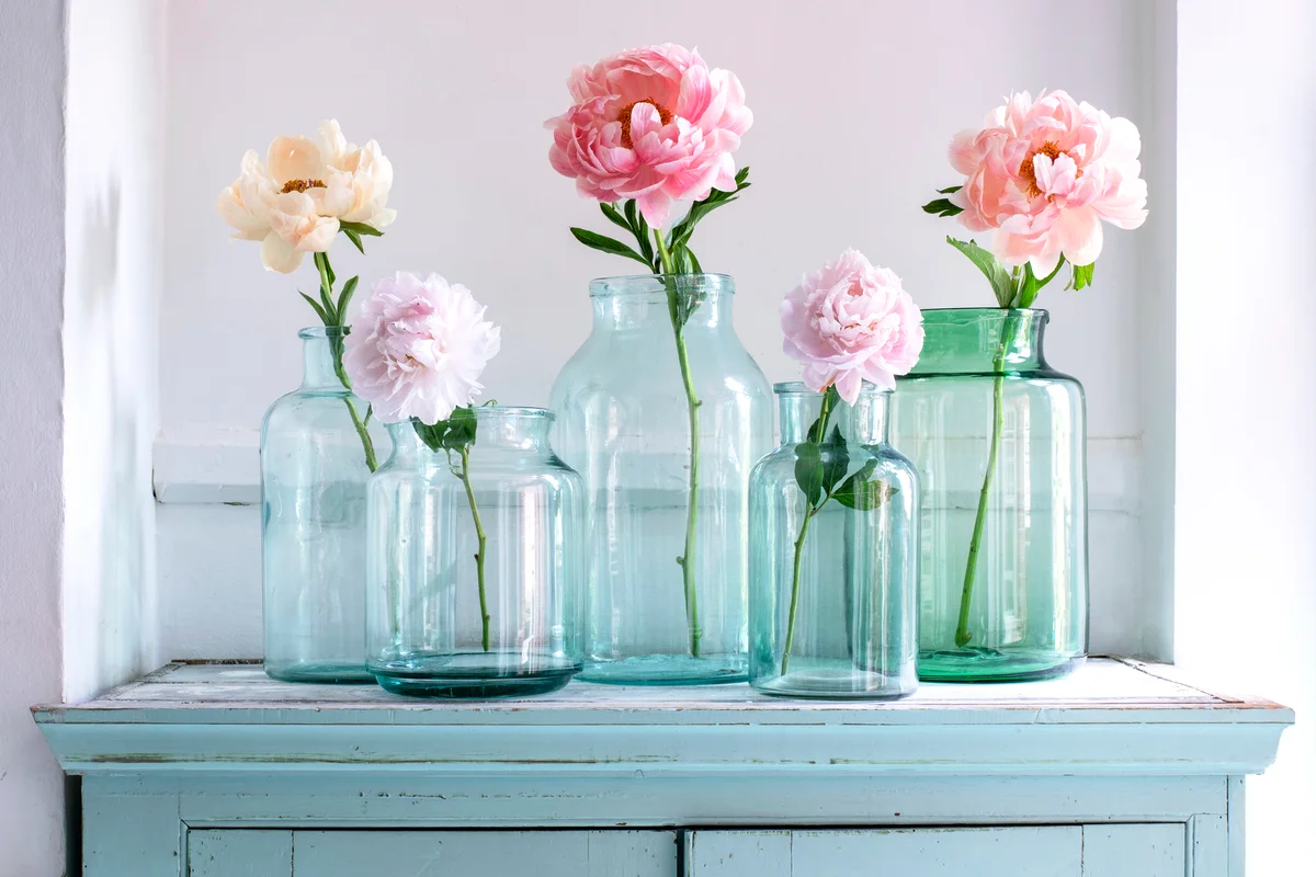 Single peonies in green glass vases
