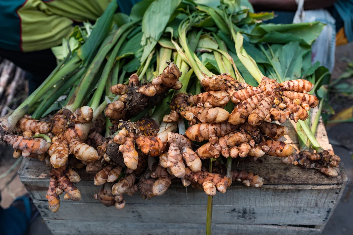 Turmeric (Curcuma) root