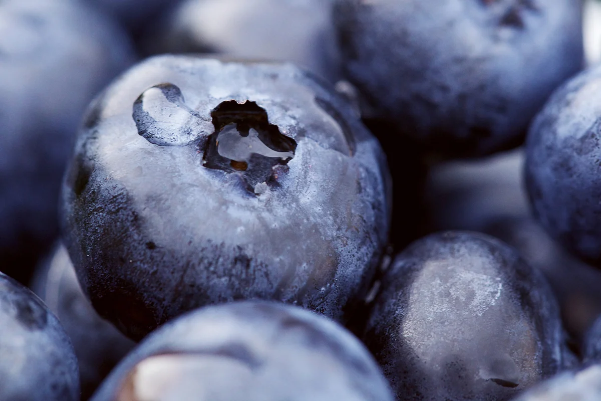 macro photo of fresh blueberries
