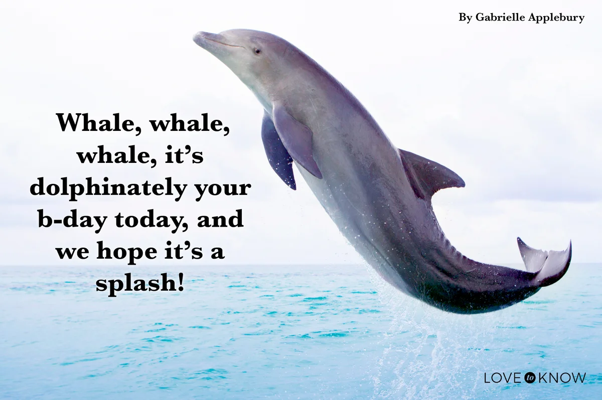 Dolphin leaping in open ocean
