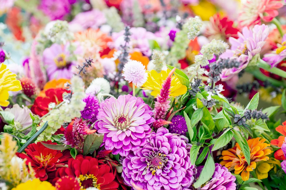 Fresh cut summer flowers on display at a farmer's market