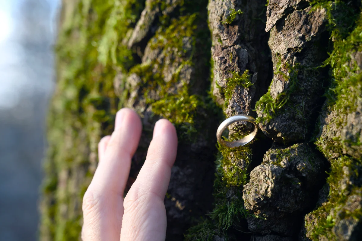Hand close to a wedding ring on an old tree bark