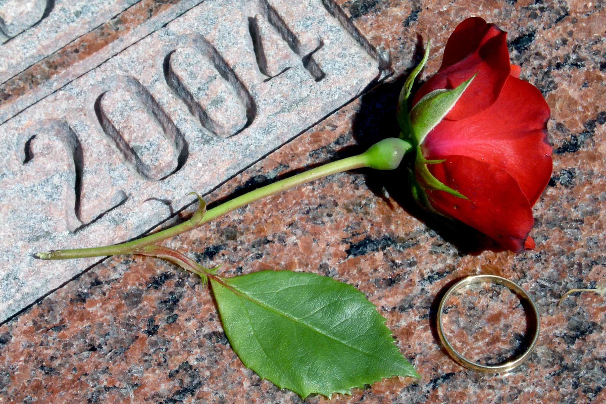 Ggold wedding band and fresh red rose bloom lay atop a marble grave marker