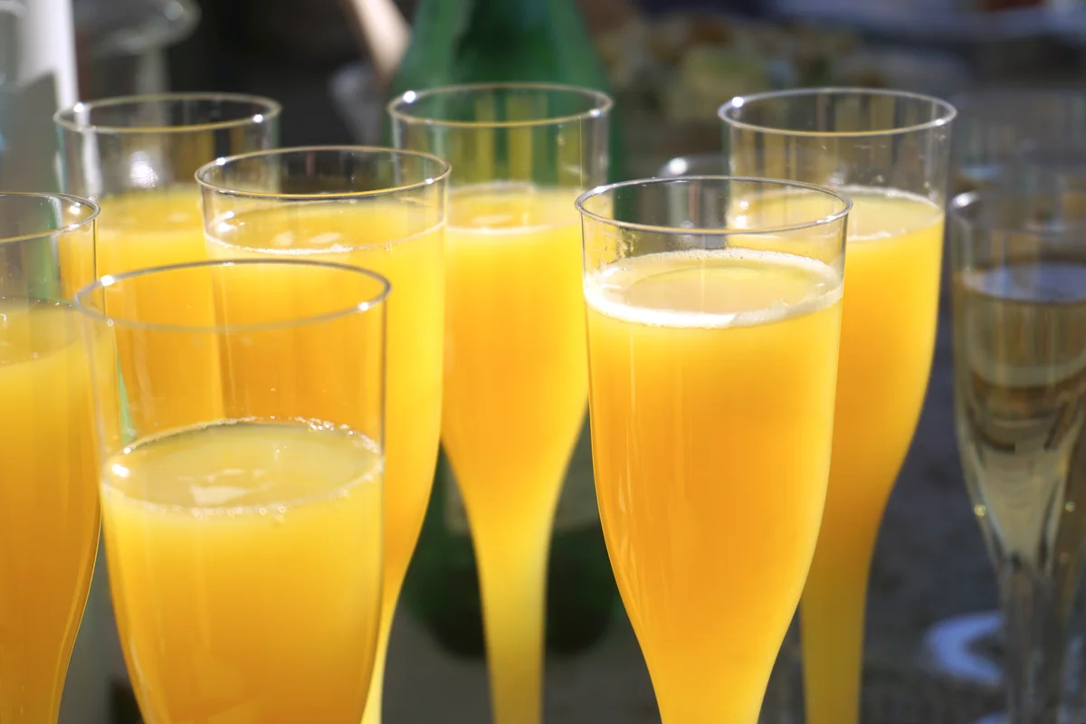 Mimosa Pitcher