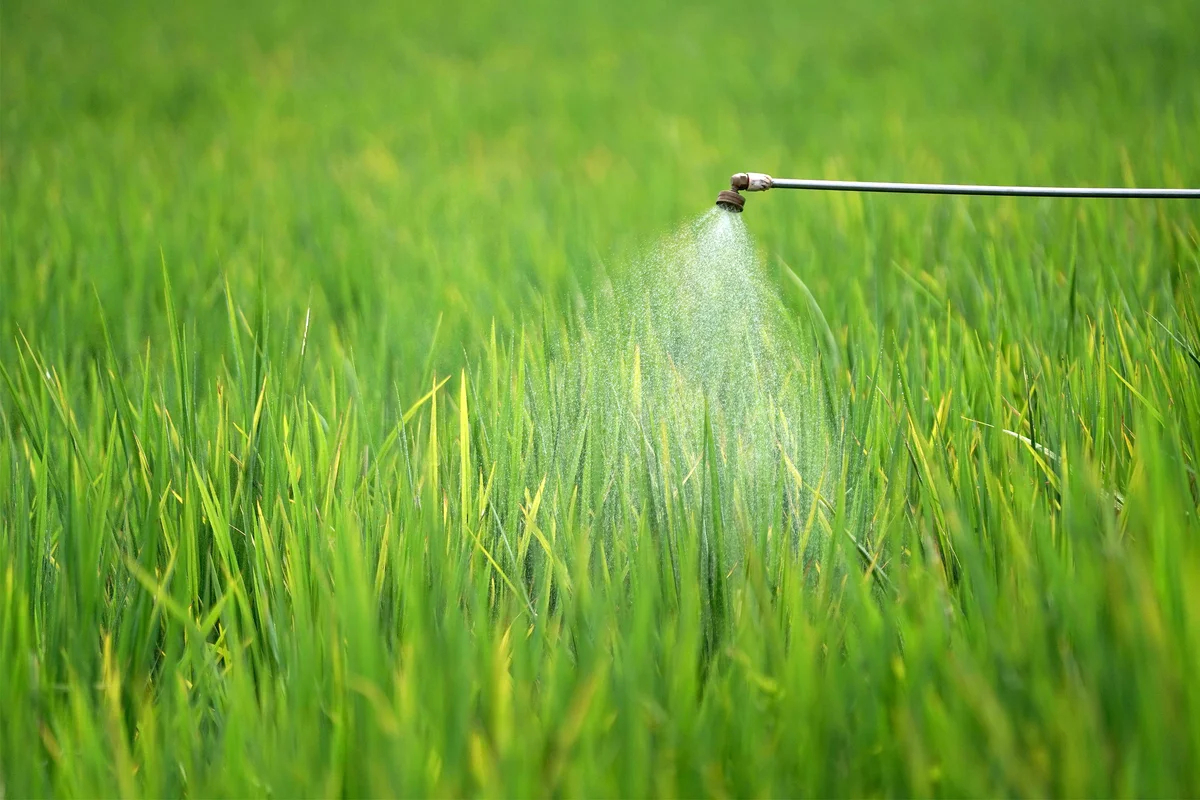 Fungicide Sprayed Onto A Grass Field