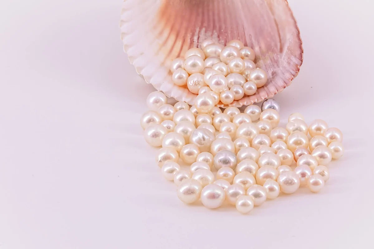 Akoya pearls and a seashell