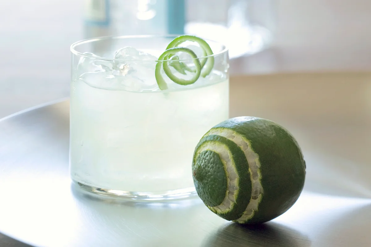 Vodka gimlet cocktail with lime