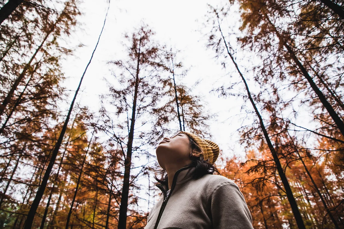 woman enjoying the beautiful nature in a cypress forest