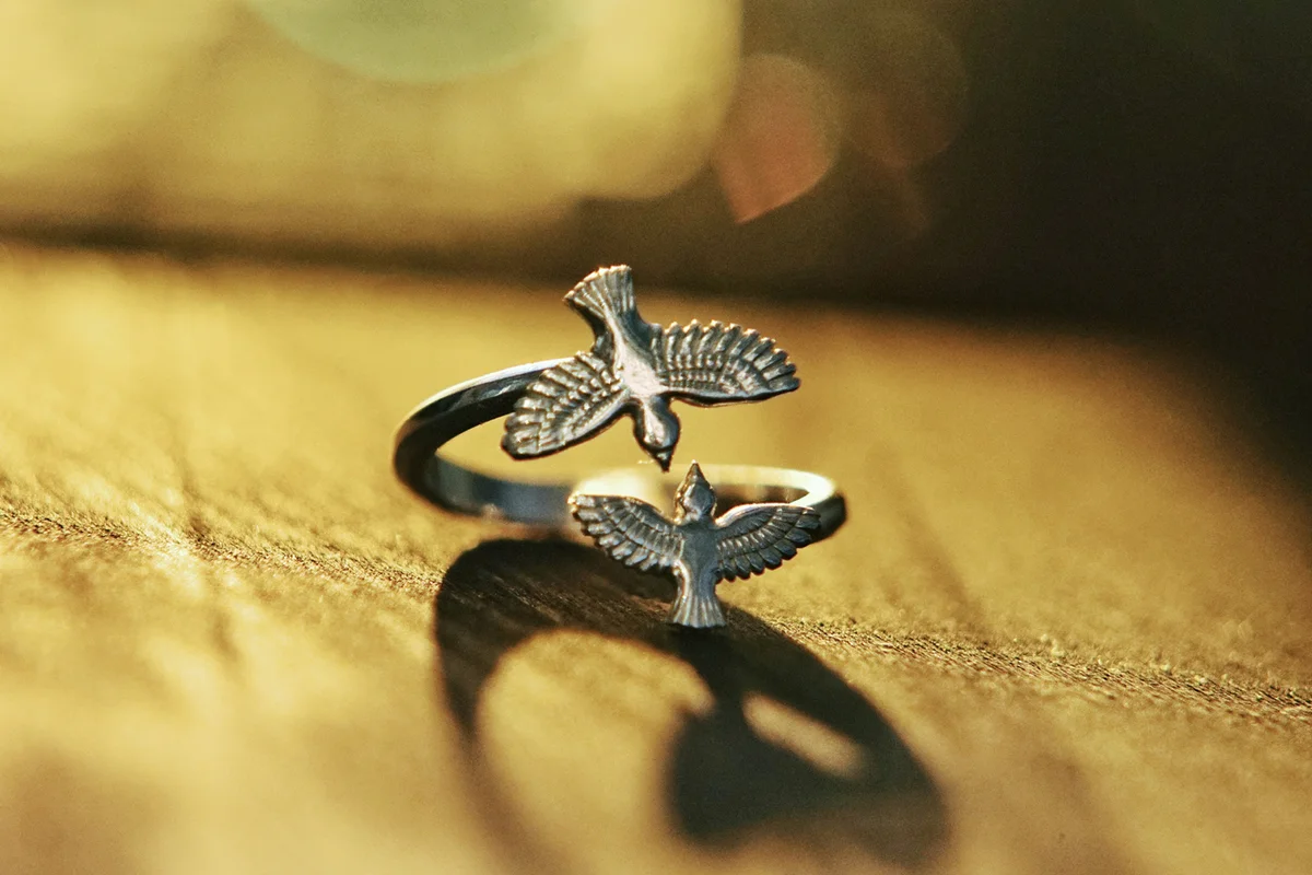 Bird ring