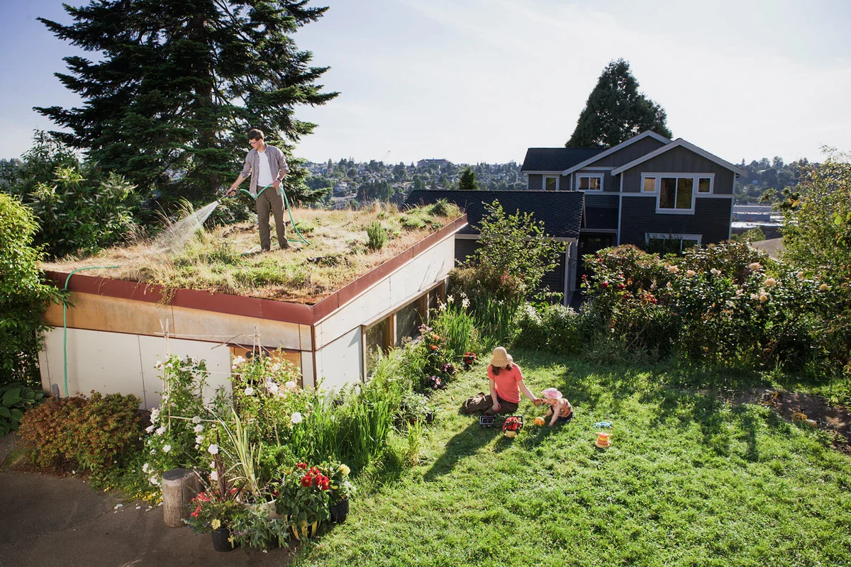 man watering green roof with family in the yard