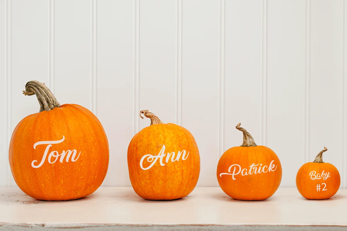 Four pumpkins of various sizes sitting in a row