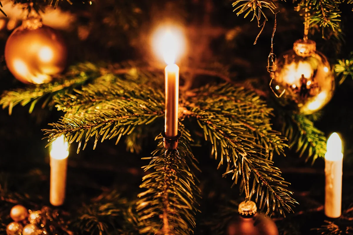 Lit Candles And Christmas Tree