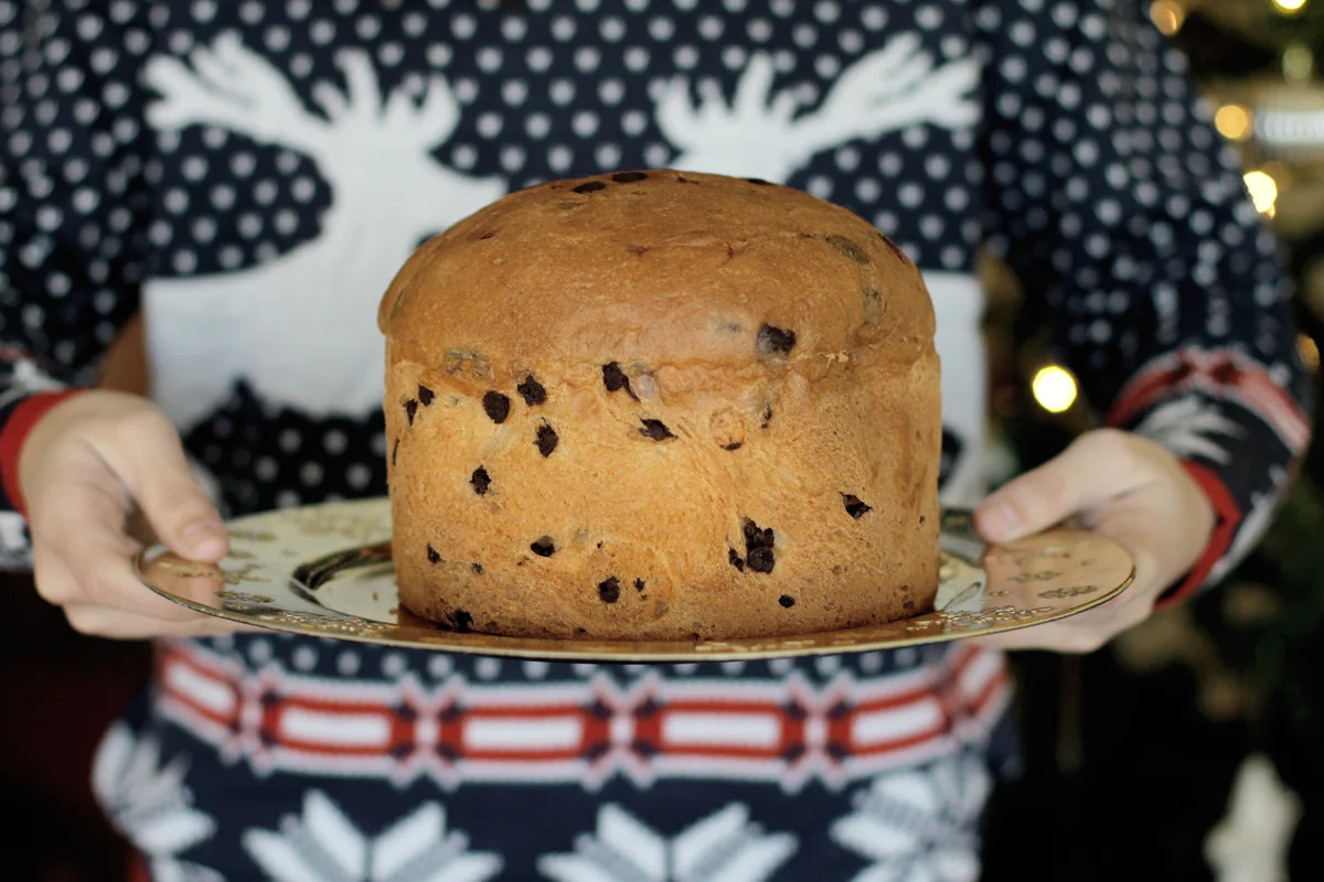 Hands Holding Italian Panettone Christmas Cake