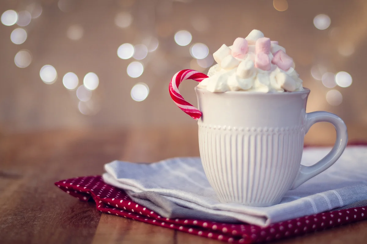 Garnished Peppermint Hot Chocolate