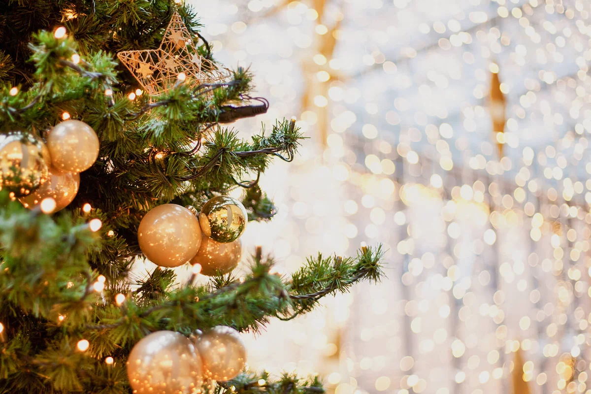 Cropped Christmas Tree With Ornaments At Night