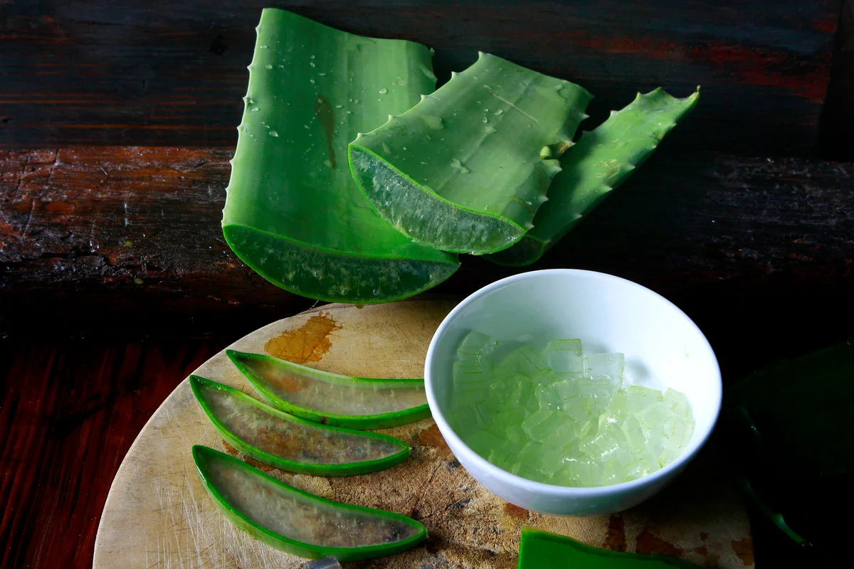 Aloe vera on wooden background