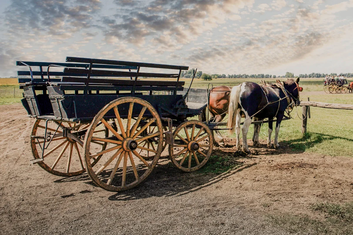 Horse carriage in an Argentinian farm