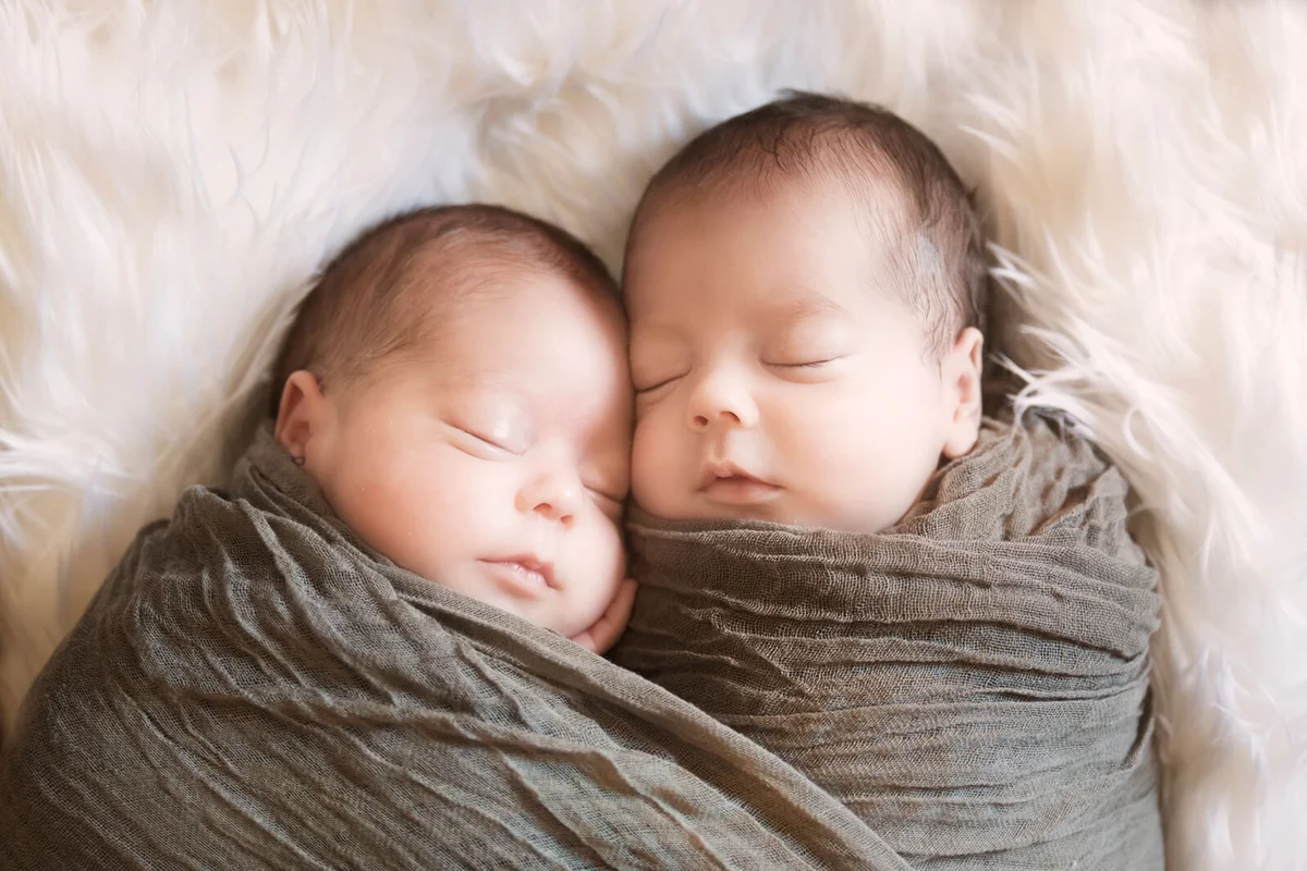 Newborn twin babies find comfort with each other