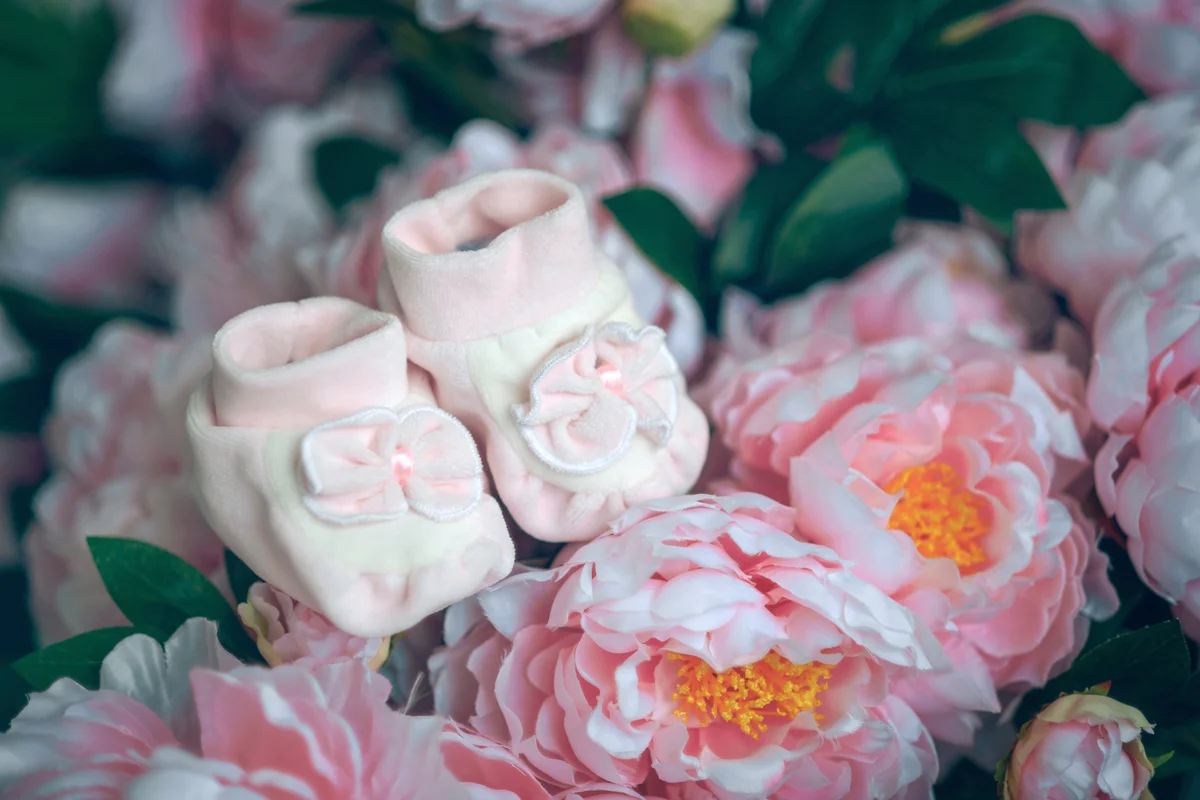 Pink booties in the colors of the peonies