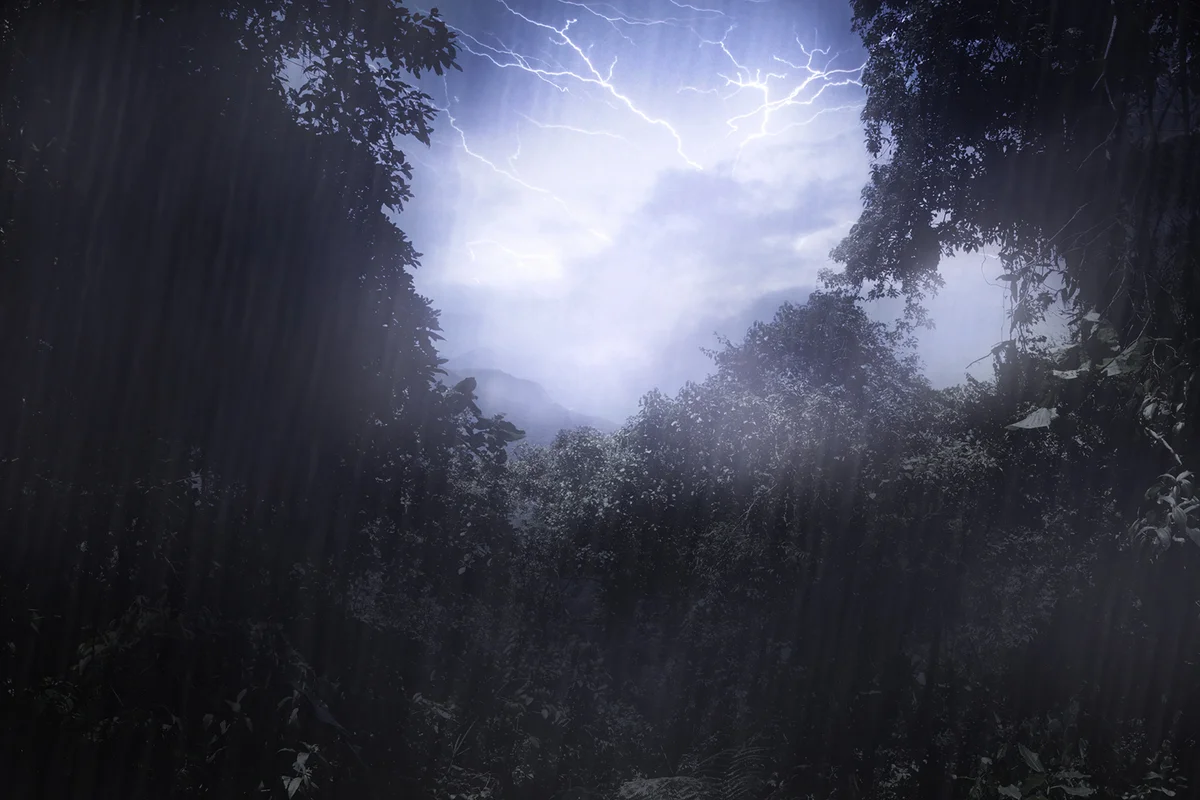 thunderstorm over woods