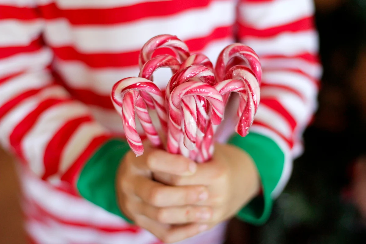 Little hands holding candy canes