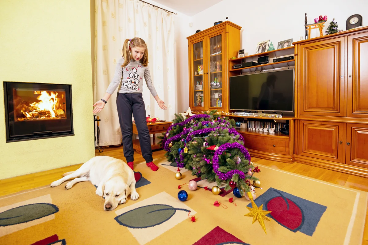 Girl arguing her dog near fallen Christmas tree