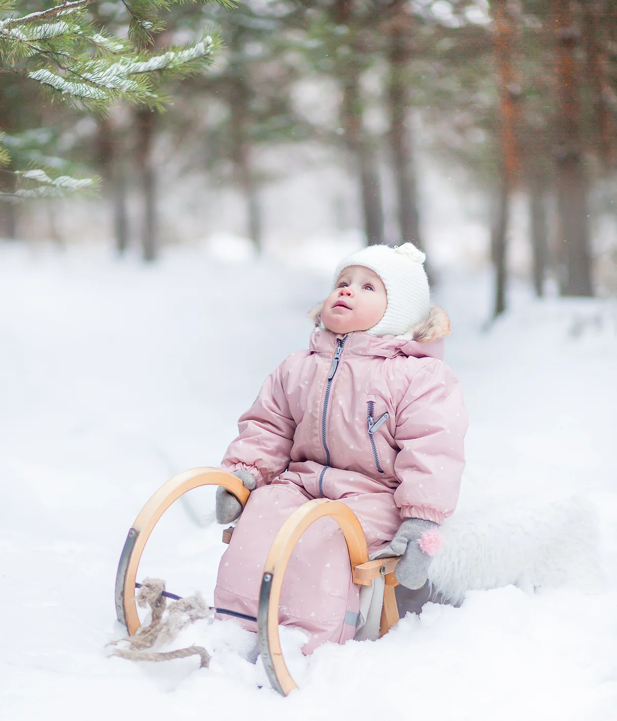 A Little Girl Sitting On The Sleigh In The Winter Forest