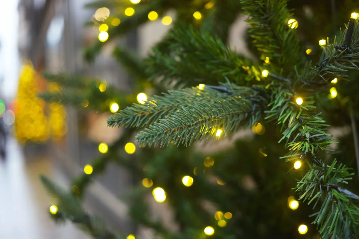 Illuminated Christmas Tree