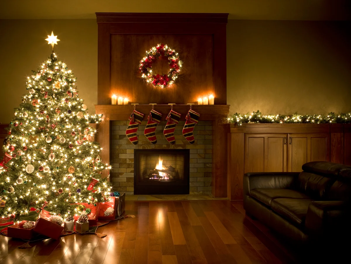 Adorned Christmas Tree