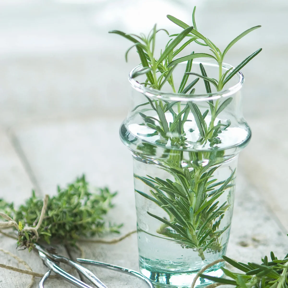 Fresh rosemary and thyme