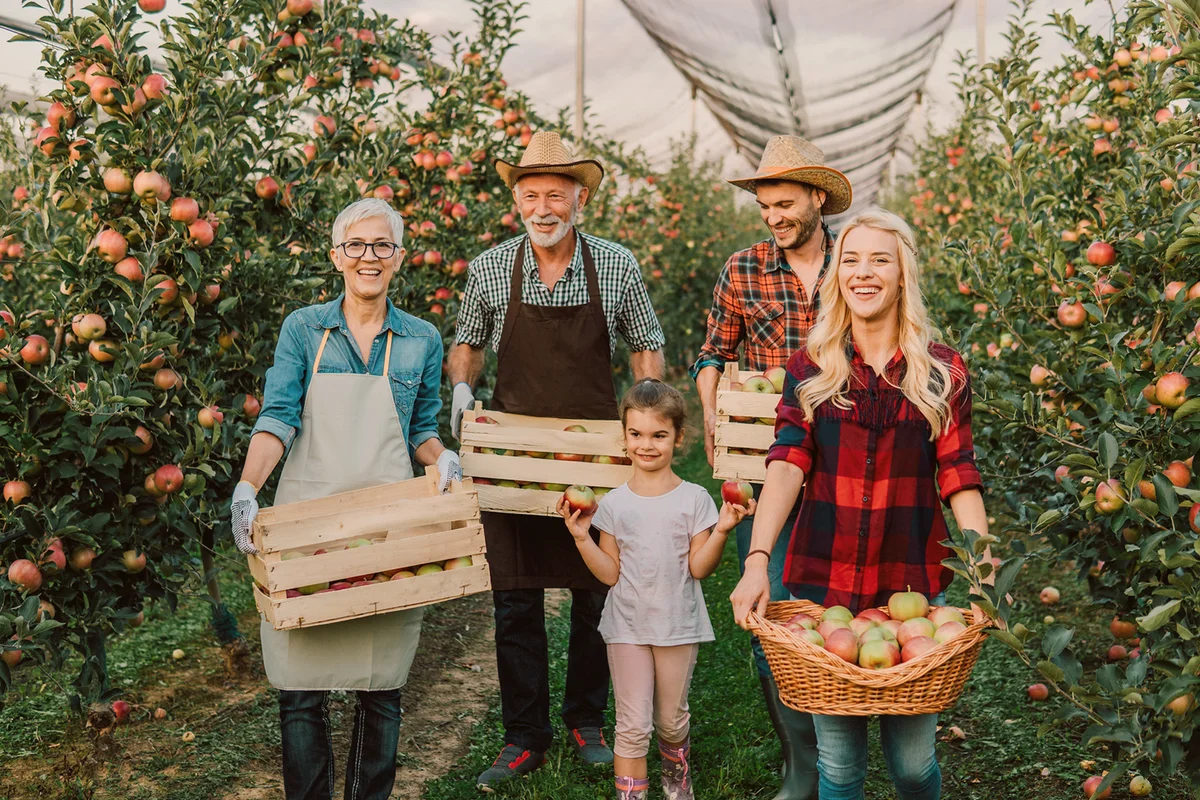 Happy big family standing at the apple orchard together