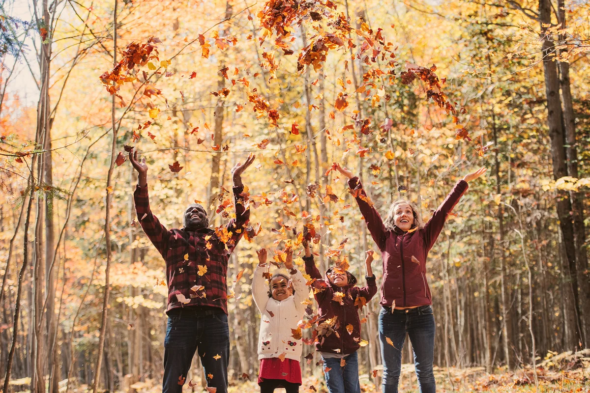 family in a forest, throwing maple leaves